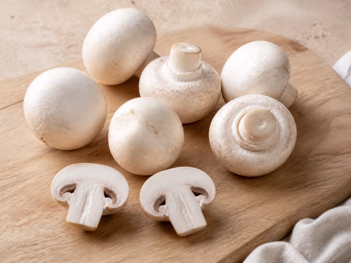 Champi&ntilde;ones
